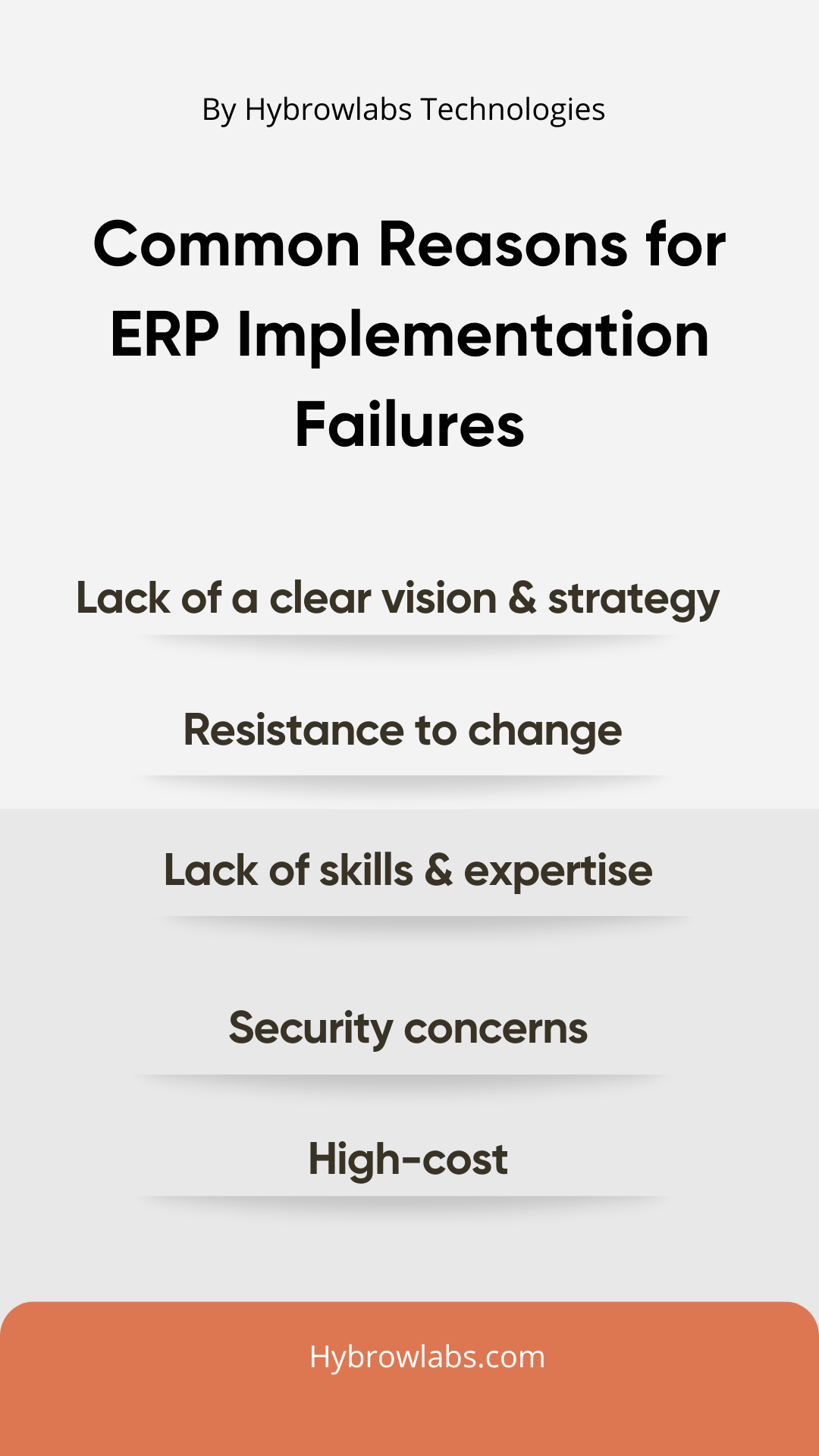 Decoding ERP Implementation Failures: Lessons from Success and Failure