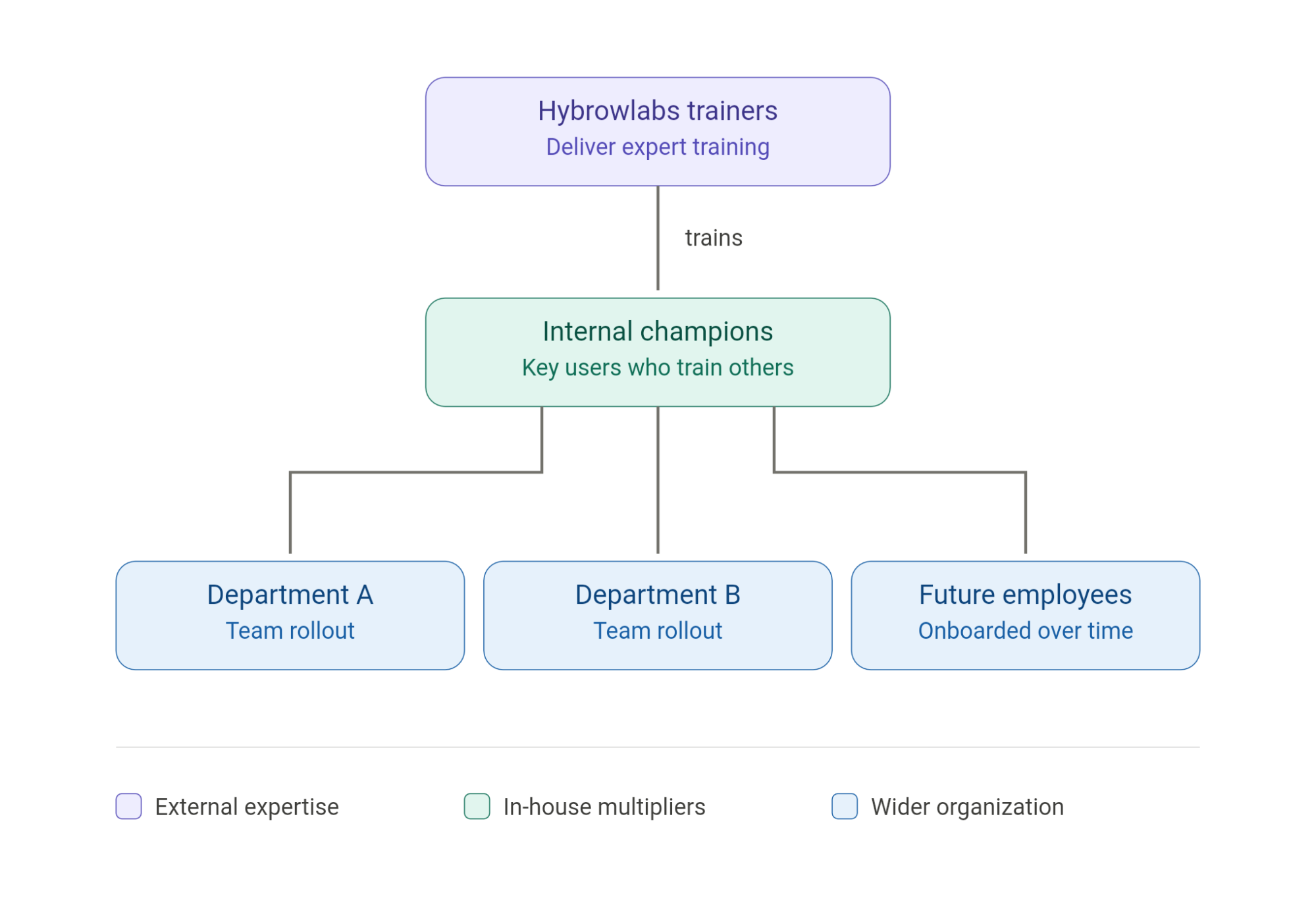Hybrowlabs train-the-trainer programme flow from trainers to internal champions and departments